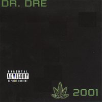 chronic 2001