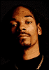 snoop dog